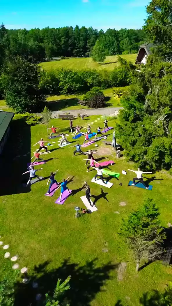 Jogos praktika lauke